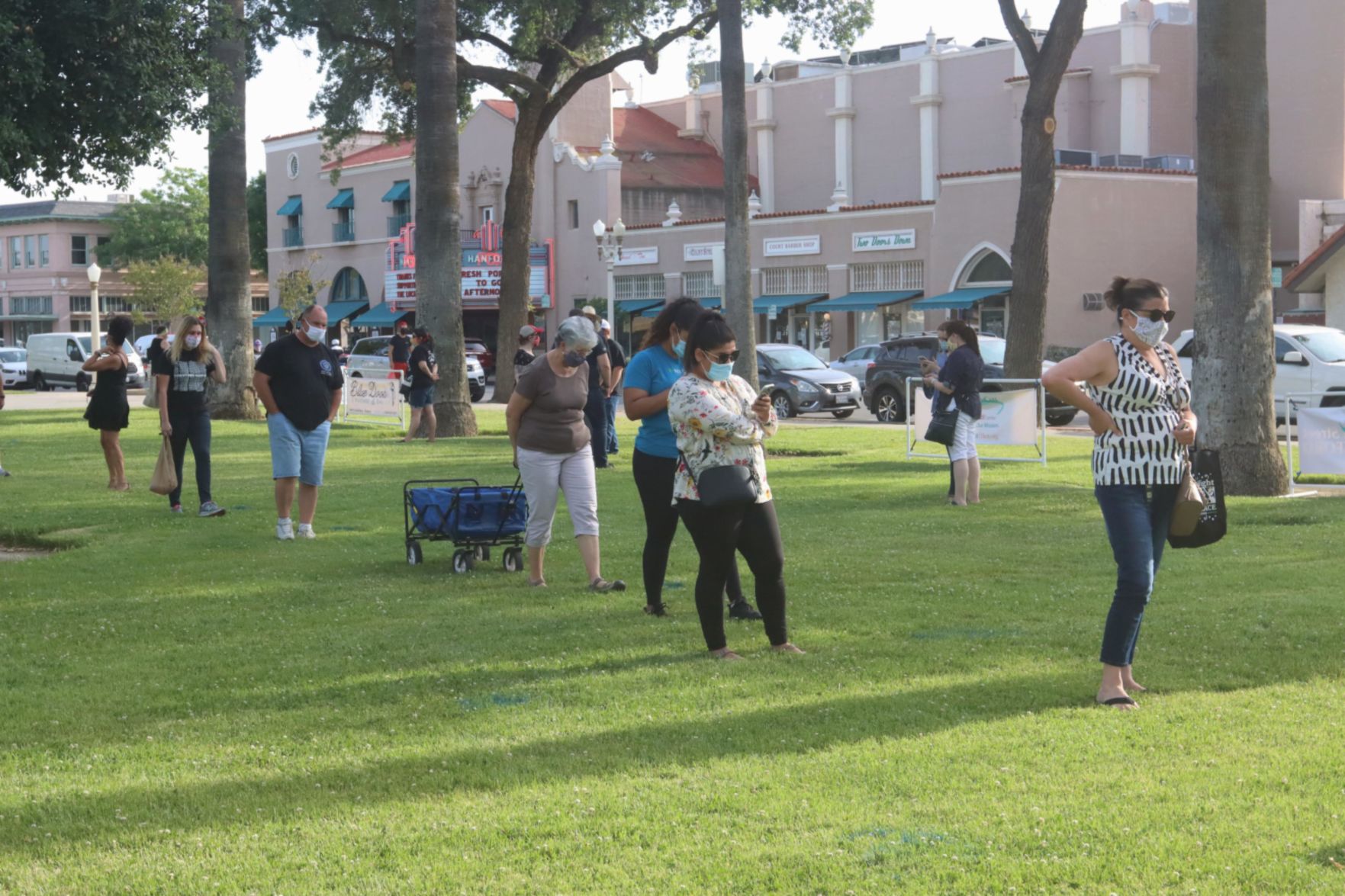 Thursday Night Market Place hosts first certified farmers market